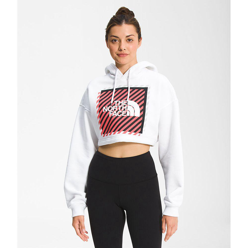 The North Face Coordinates Crop Drop Pullover Γυναικεια Φούτερ Hoodie - Ασπρα (OEXD36457)